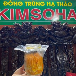 ĐÔNG TRÙNG HẠ THẢO TƯƠI