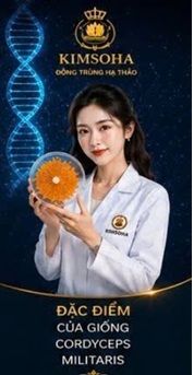 ĐẶC ĐIỂM CỦA GIỐNG CORDYCEPS MILITARIS