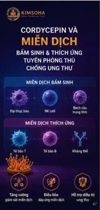  CORDYCEPIN VÀ MIỄN DỊCH BẨM SINH – TUYẾN PHÒNG THỦ ĐẦU TIÊN CỦA CƠ THỂ TRONG CUỘC CHIẾN CHỐNG UNG THƯ