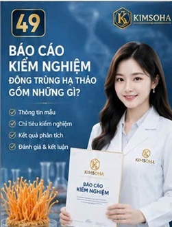 BÁO CÁO KIỂM NGHIỆM ĐÔNG TRÙNG HẠ THẢO GỒM NHỮNG GÌ?