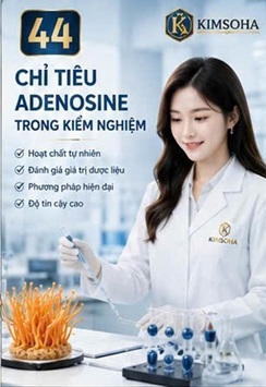 CHỈ TIÊU ADENOSINE TRONG KIỂM NGHIỆM ĐÔNG TRÙNG HẠ THẢO