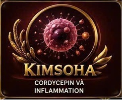 CORDYCEPIN VÀ KHÁNG XẠ TRỊ – MỘT THÁCH THỨC QUAN TRỌNG TRONG ĐIỀU TRỊ UNG THƯ HIỆN ĐẠI
