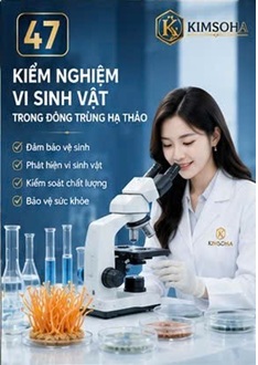 KIỂM NGHIỆM VI SINH VẬT TRONG ĐÔNG TRÙNG HẠ THẢO