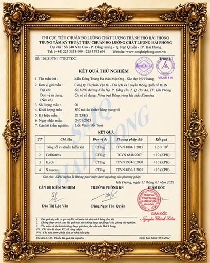 Tinh chất đông trùng hạ thảo KIMSOHA
