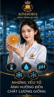 NHỮNG YẾU TỐ ẢNH HƯỞNG ĐẾN CHẤT LƯỢNG GIỐNG ĐÔNG TRÙNG HẠ THẢO