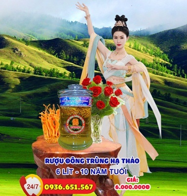 CỘI NGUỒN SỰ SỐNG NƠI RỪNG CÚC PHƯƠNG – RƯỢU TIẾN VUA ĐÔNG TRÙNG HẠ THẢO KIMSOHA