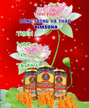 CORDYCEPIN VÀ CÁC CON ĐƯỜNG TÍN HIỆU VIÊM TRONG GAN: NHỮNG KHÁM PHÁ KHOA HỌC ĐÁNG CHÚ Ý