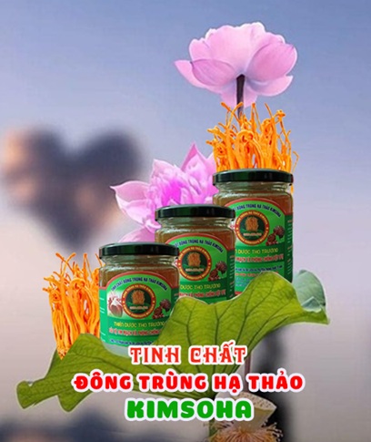 CORDYCEPIN VÀ PYROPTOSIS – DẠNG CHẾT TẾ BÀO GÂY BÙNG NỔ PHẢN ỨNG VIÊM SAU ĐỘT QUỴ