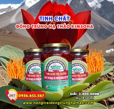 CORDYCEPIN VÀ GASDERMIN D – “KẺ MỞ CỔNG” CHO PYROPTOSIS TRONG ĐỘT QUỴ NÃO