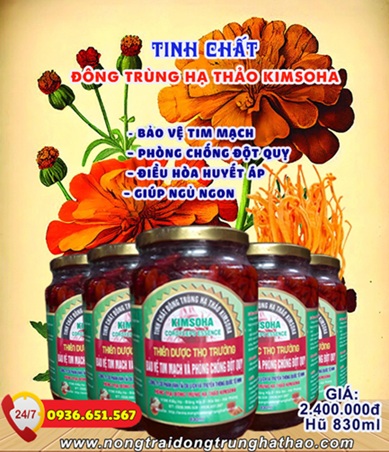 CORDYCEPIN VÀ TIGHT JUNCTIONS – “BỨC TƯỜNG THÀNH” BẢO VỆ NÃO BỘ SAU ĐỘT QUỴ