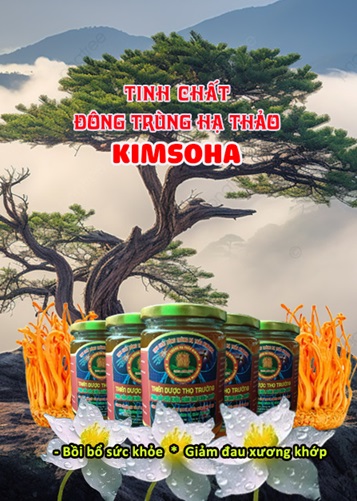 NUÔI CẤY ĐÔNG TRÙNG HẠ THẢO TRÊN NHỘNG TẰM