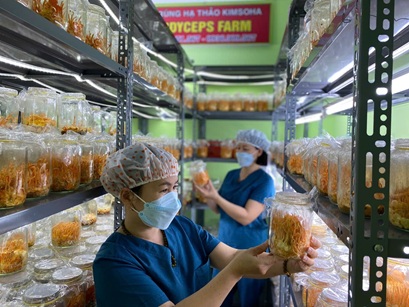 XU HƯỚNG CHUYỂN GIAO CÔNG NGHỆ ĐÔNG TRÙNG HẠ THẢO TRONG TƯƠNG LAI