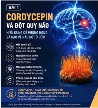 CORDYCEPIN VÀ TAI BIẾN MẠCH MÁU NÃO – HIỂU ĐÚNG VỀ KẺ GIẾT NGƯỜI THẦM LẶNG