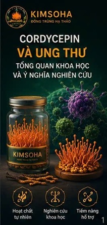 TỔNG QUAN KHOA HỌC VỀ CORDYCEPS MILITARIS TRONG NGHIÊN CỨU HỖ TRỢ BỆNH NHÂN UNG THƯ