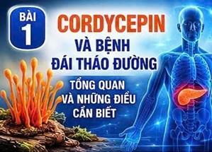 CORDYCEPIN VÀ BỆNH ĐÁI THÁO ĐƯỜNG – TỔNG QUAN VỀ ĐẠI DỊCH CHUYỂN HÓA TOÀN CẦU
