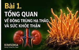 ĐÔNG TRÙNG HẠ THẢO VÀ SỨC KHỎE THẬN: TỔNG QUAN TỪ CÁC NGHIÊN CỨU HIỆN ĐẠI