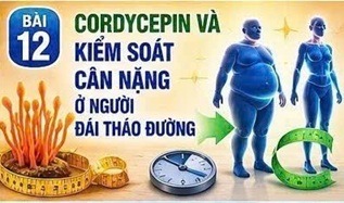 CORDYCEPIN VÀ BIẾN CHỨNG THẬN ĐÁI THÁO ĐƯỜNG – MỐI ĐE DỌA ÂM THẦM ĐỐI VỚI CHỨC NĂNG LỌC MÁU