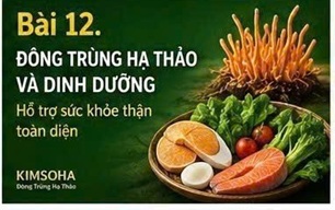 ĐÔNG TRÙNG HẠ THẢO VÀ BỆNH THẬN DO TIỂU ĐƯỜNG: TỔNG HỢP NHỮNG NGHIÊN CỨU KHOA HỌC MỚI NHẤT