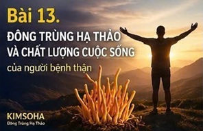 ĐÔNG TRÙNG HẠ THẢO VÀ XƠ HÓA THẬN: CƠ CHẾ BỆNH SINH VÀ NHỮNG NGHIÊN CỨU MỚI TỪ Y HỌC HIỆN ĐẠI
