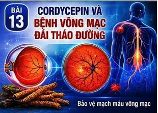 CORDYCEPIN VÀ BỆNH VÕNG MẠC ĐÁI THÁO ĐƯỜNG – MỐI ĐE DỌA THẦM LẶNG ĐỐI VỚI THỊ LỰC