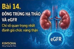 ĐÔNG TRÙNG HẠ THẢO VÀ eGFR: CHỈ SỐ QUAN TRỌNG NHẤT ĐÁNH GIÁ CHỨC NĂNG THẬN