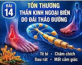 CORDYCEPIN VÀ TỔN THƯƠNG THẦN KINH NGOẠI BIÊN DO ĐÁI THÁO ĐƯỜNG – BIẾN CHỨNG ÂM THẦM NHƯNG ĐẦY NGUY HIỂM