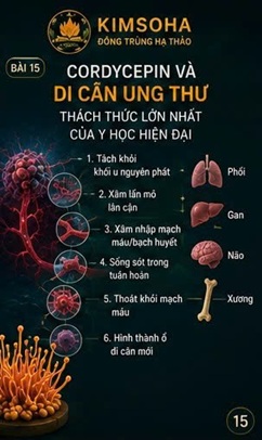 CORDYCEPIN VÀ DI CĂN UNG THƯ – THÁCH THỨC LỚN NHẤT CỦA Y HỌC HIỆN ĐẠI