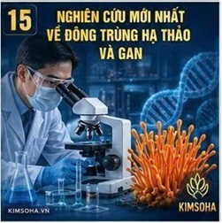 NHỮNG NGHIÊN CỨU MỚI NHẤT VỀ ĐÔNG TRÙNG HẠ THẢO VÀ GAN: XU HƯỚNG KHOA HỌC GIAI ĐOẠN 2020–2025