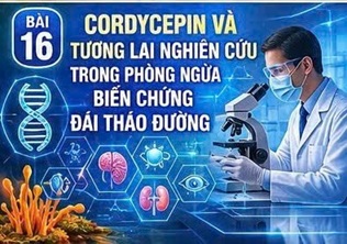 CORDYCEPIN VÀ TƯƠNG LAI NGHIÊN CỨU TRONG PHÒNG NGỪA BIẾN CHỨNG ĐÁI THÁO ĐƯỜNG