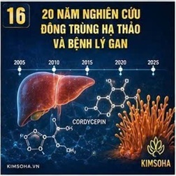 TỔNG QUAN 20 NĂM NGHIÊN CỨU ĐÔNG TRÙNG HẠ THẢO VÀ BỆNH LÝ GAN: TỪ TRI THỨC TRUYỀN THỐNG ĐẾN Y HỌC HIỆN ĐẠI