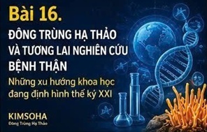 ĐÔNG TRÙNG HẠ THẢO VÀ TƯƠNG LAI NGHIÊN CỨU BỆNH THẬN: NHỮNG XU HƯỚNG KHOA HỌC ĐANG ĐỊNH HÌNH THẾ KỶ XXI