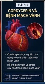 CORDYCEPIN VÀ IL-6 – CYTOKINE VIÊM QUAN TRỌNG TRONG BỆNH TIM MẠCH HIỆN ĐẠI