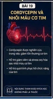 CORDYCEPIN VÀ NF-κB TRONG BỆNH TIM MẠCH – CÔNG TẮC ĐIỀU KHIỂN PHẢN ỨNG VIÊM CỦA TẾ BÀO