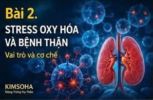 ĐÔNG TRÙNG HẠ THẢO VÀ BỆNH THẬN MẠN TÍNH: NHỮNG ĐIỀU KHOA HỌC ĐANG KHÁM PHÁ