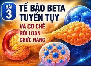 CORDYCEPIN VÀ KHÁNG INSULIN – CƠ CHẾ TRUNG TÂM CỦA ĐÁI THÁO ĐƯỜNG TYPE 2