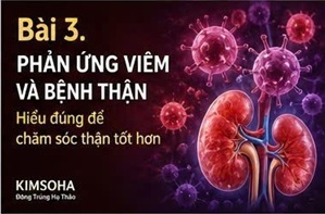THẬN YẾU LÀ GÌ? VAI TRÒ CỦA ĐÔNG TRÙNG HẠ THẢO TRONG CÁC NGHIÊN CỨU HIỆN NAY