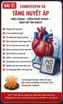 CORDYCEPIN VÀ TĂNG HUYẾT ÁP – KẺ GIẾT NGƯỜI THẦM LẶNG CỦA THẾ KỶ 21