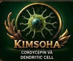 CORDYCEPIN VÀ CON ĐƯỜNG TÍN HIỆU PI3K/Akt/mTOR – TRUNG TÂM ĐIỀU HÒA TĂNG TRƯỞNG VÀ SINH TỒN CỦA TẾ BÀO UNG THƯ