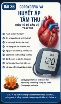 CORDYCEPIN VÀ HUYẾT ÁP TÂM THU – YẾU TỐ NGUY CƠ HÀNG ĐẦU CỦA BỆNH TIM MẠCH