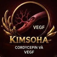  CORDYCEPIN VÀ VEGF – YẾU TỐ TĂNG TRƯỞNG MẠCH MÁU QUAN TRỌNG TRONG SỰ PHÁT TRIỂN CỦA KHỐI U