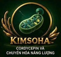 CORDYCEPIN VÀ HIỆU ỨNG WARBURG – ĐẶC ĐIỂM CHUYỂN HÓA NĂNG LƯỢNG ĐẶC BIỆT CỦA TẾ BÀO UNG THƯ