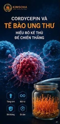 CORDYCEPIN VÀ VI MÔI TRƯỜNG KHỐI U (TUMOR MICROENVIRONMENT - TME)