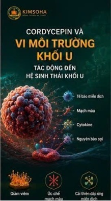 CORDYCEPIN VÀ INTERLEUKIN-6 (IL-6) – CYTOKINE TRUNG TÂM TRONG VIÊM MẠN TÍNH VÀ UNG THƯ