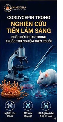 CORDYCEPIN VÀ MIỄN DỊCH THÍCH ỨNG – HỆ THỐNG PHÒNG THỦ CHUYÊN BIỆT TRONG CUỘC CHIẾN CHỐNG UNG THƯ