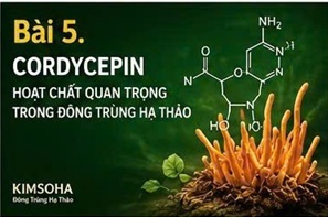 URE MÁU CAO VÀ CHỨC NĂNG THẬN: NHỮNG ĐIỀU NGƯỜI BỆNH CẦN BIẾT