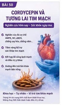 CORDYCEPIN VÀ SUY TIM – GÓC NHÌN TỪ SINH HỌC PHÂN TỬ ĐẾN LÂM SÀNG HIỆN ĐẠI