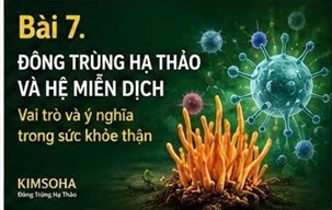 ĐÔNG TRÙNG HẠ THẢO VÀ VIÊM CẦU THẬN: TỔNG HỢP CÁC CÔNG TRÌNH NGHIÊN CỨU HIỆN ĐẠI
