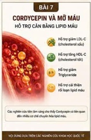 CORDYCEPIN VÀ XƠ VỮA ĐỘNG MẠCH – NGUYÊN NHÂN NỀN TẢNG CỦA NHIỀU BỆNH TIM MẠCH NGUY HIỂM