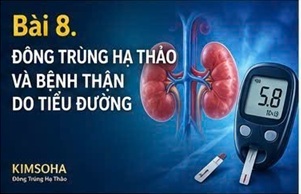ĐÔNG TRÙNG HẠ THẢO VÀ HỘI CHỨNG THẬN HƯ: NHỮNG KHÁM PHÁ KHOA HỌC MỚI