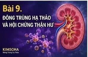 ĐÔNG TRÙNG HẠ THẢO VÀ SỎI THẬN: CÁC NGHIÊN CỨU ĐÃ CÔNG BỐ NÓI GÌ?